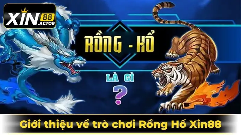 Giới thiệu về Rồng Hổ tại Xin88