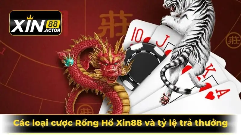 Các loại cược Rồng Hổ Xin88 và tỷ lệ trả thưởng