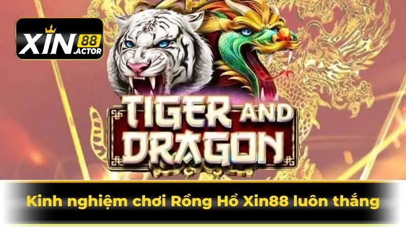 Kinh nghiệm chơi Rồng Hổ Xin88 luôn thắng