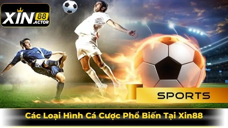 Các Loại Hình Cá Cược Phổ Biến Tại Xin88