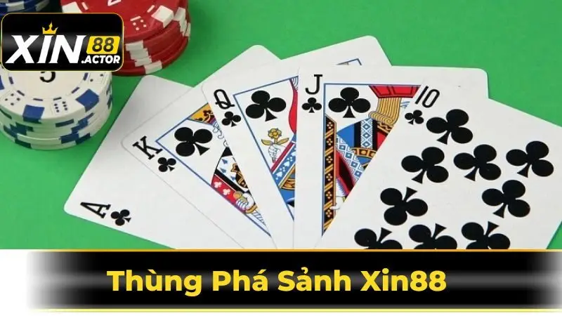 Thùng Phá Sảnh Xin88