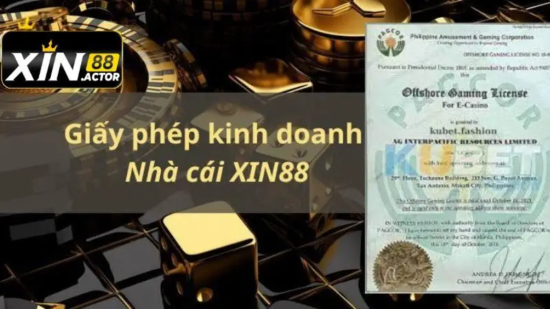 Giấy Phép & Chứng Chỉ Hoạt Động  Hợp Pháp